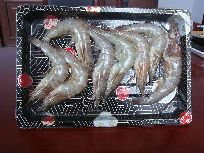 1646441605803043.jpg 贴体5.jpg