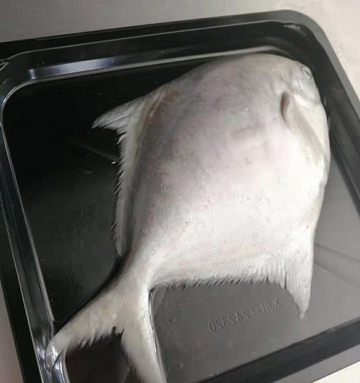 1646441622819960.jpg 贴体6.jpg